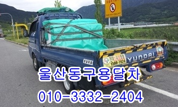 울산동구용달 제주도 정자 양남 양북 울릉도 감포, 울산동구용달 제주도 정자 양남 양북 울릉도 감포,