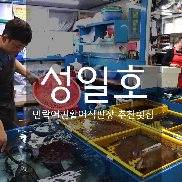  부산 회포장은 민락어민활어직판장 성일호에서