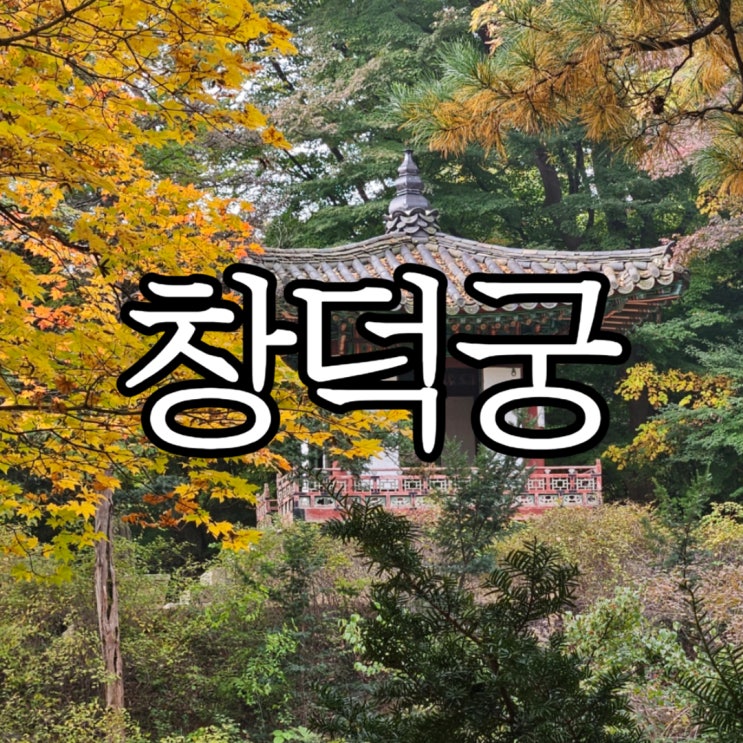  서울단풍 명소 가을의 창덕궁 후원 현장 예매 후기 (+물품보관소 위치)