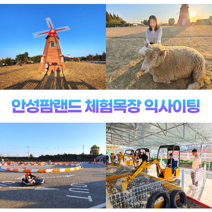 안성팜랜드 아이와 함께 체험목장 익사이팅파크 안성팜랜드 아이와 함께 체험목장 익사이팅파크