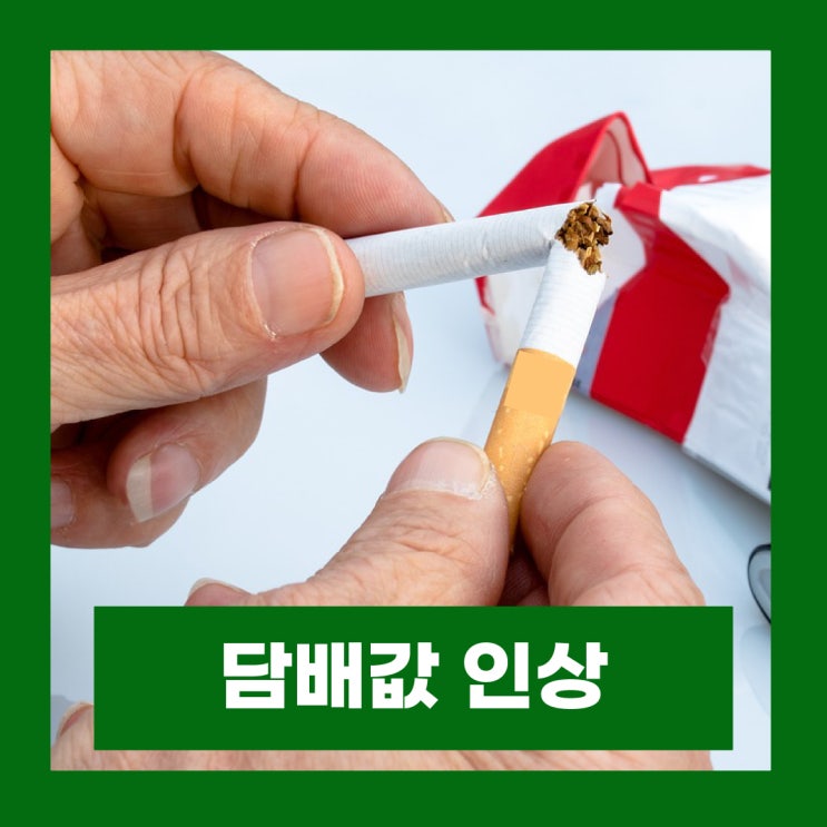  담배값 인상 8000원 금연효과 10년 주기설
