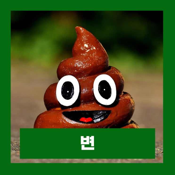  변이 물에 뜨면 건강 위험 신호 이유