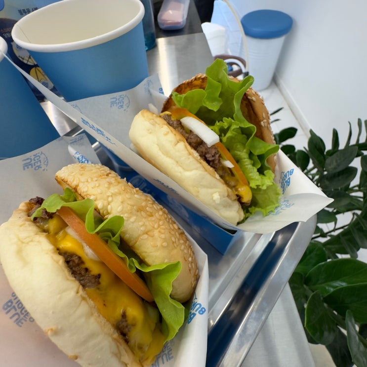 경기광주 신현리에 있는 애견동반 수제 햄버거 맛집 블루버거 신현점