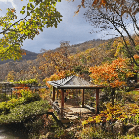  [경기도/광주] 단풍놀이 명소 화담숲 주차팁 모노레일 근처 맛집