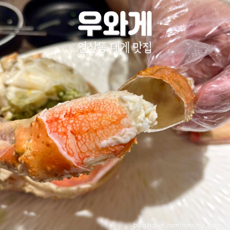  연산동술집 우와게 한우와 대게가 맛있는 연산동이자카야
