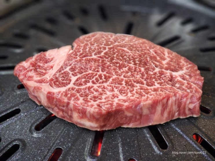  감악산출렁다리 파주맛집 육즙가득 적성한우 적성양산박암소한우마을
