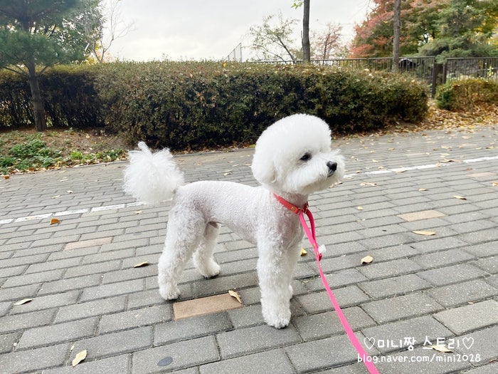 사진 4