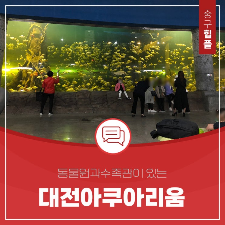  대전 중구 아이와 가볼만한곳 동물원과 수족관이 있는 대전아쿠아리움