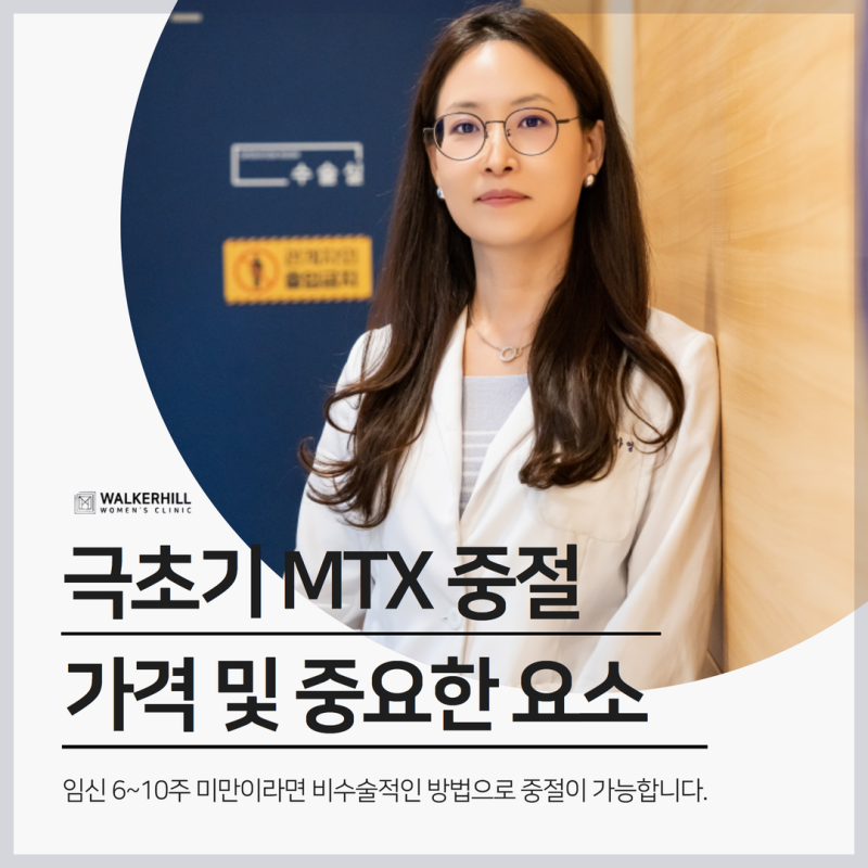 낙태약물 가격 추이 시점 요약