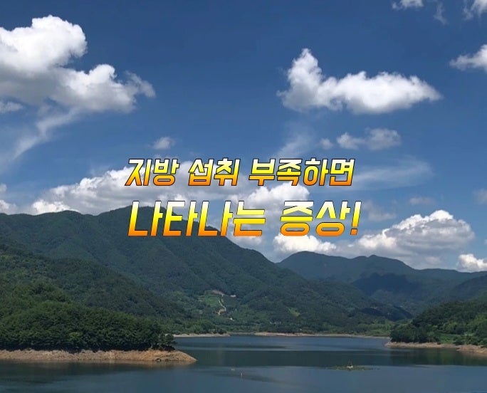 지방 섭취 부족하면 나타나는 증상! 지방 섭취 부족하면 나타나는 증상!