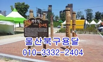 울산북구용달 입실 불국사 제주도 모화 울릉도 외동. 울산북구용달 입실 불국사 제주도 모화 울릉도 외동.