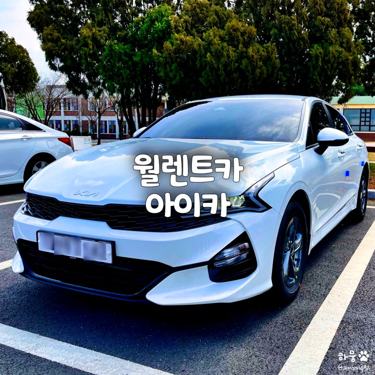  월 렌트카 가격비교해보니 아이카 원픽 추천!
