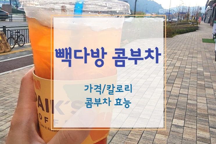  [빽다방 콤부차] 빽다방 칼로리 낮은 다이어트 음료(+콤부차 효능)