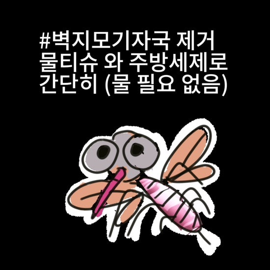 벽지모기자국 제거 ㅡ 물티슈 와 주방세제로 간단히 (물 필요 없음)