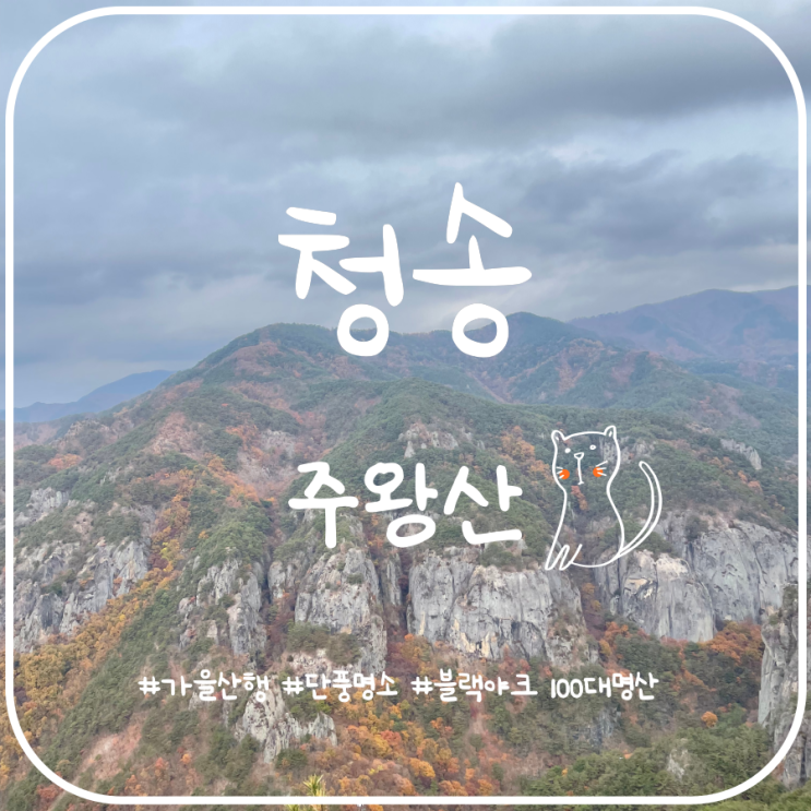 올가을 단풍 막차타기 최단코스로 다녀온 주왕산 가을산행 올가을 단풍 막차타기 최단코스로 다녀온 주왕산 가을산행