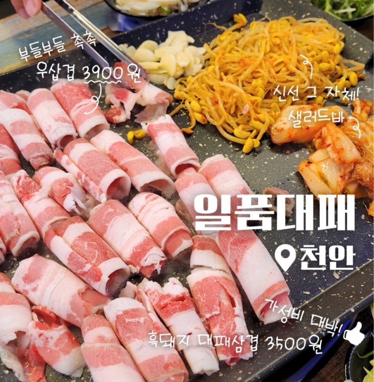  천안 신방동 대패 삼겹살 맛집 일품대패 재방문 후기
