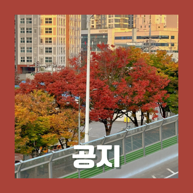  앞으로의 블로그 방향ԅ( ˘ω˘ԅ)