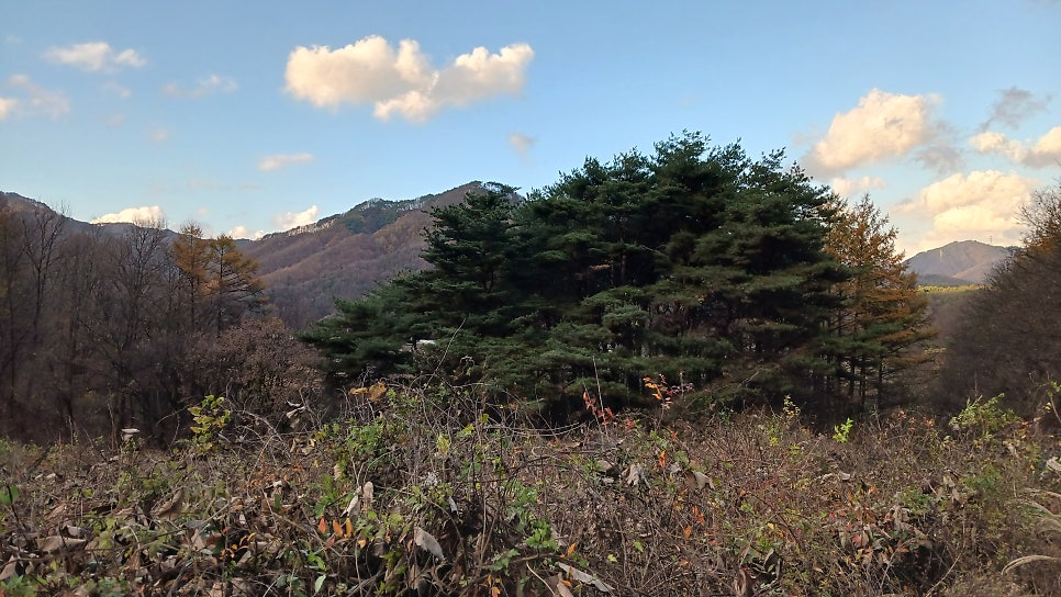 마두산 사진 6