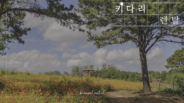  키다리렌탈의 히스토리