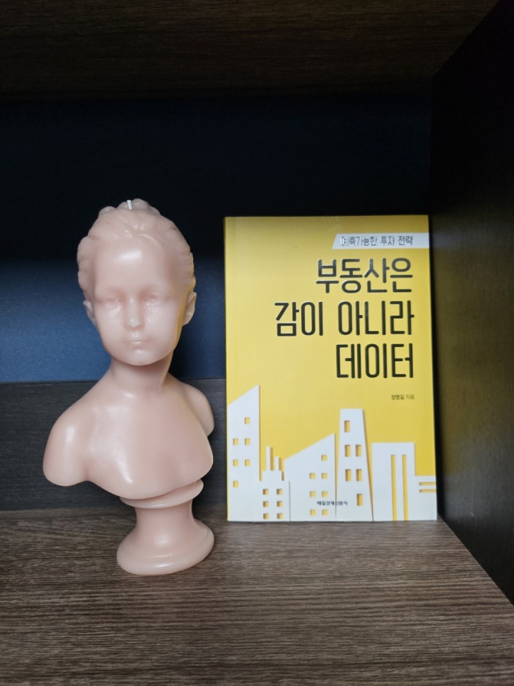  [도서]부동산은 감이 아니라 데이터 내집마련 위한 도서추천