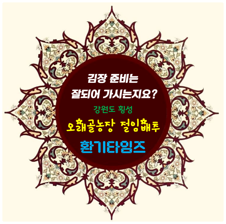 2023 김장김치 올해도 찾아갑니다. 강원도 횡성 고랭지 절임배추_오래골 농장_환기타임즈 2023 김장김치 올해도 찾아갑니다. 강원도 횡성 고랭지 절임배추_오래골 농장_환기타임즈