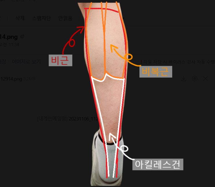  뒤꿈치 통증이 있을 때 직접 풀어주면 좋은 부분/종아리 근육 시원하게 풀어주는 방법[넙치근(비근), 비복근, 장딴지근, 가자미근][마사지,운동 방법]