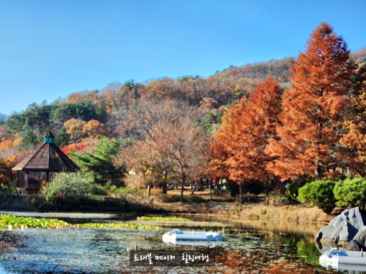  경상북도수목원 포항놀거리 데이트하기에도 좋은 피크닉 장소