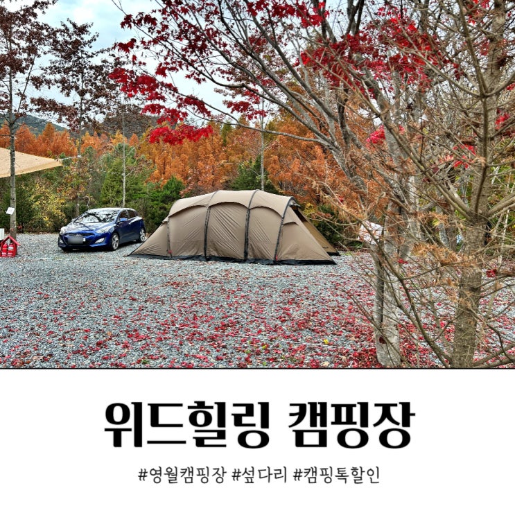  영월 캠핑장 위드힐링 캠핑톡 할인받아 강원도 캠핑장 예약하기, 섶다리 마을 평창강 캠핑장 영월 캠핑