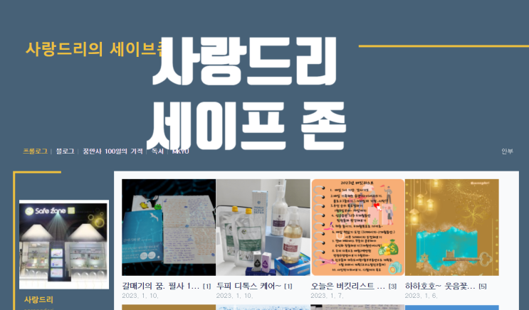  사랑드리의 세이프존 업체 블로그 컨설팅