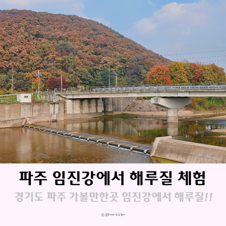 경기도 파주 가볼만한 곳 임진강에서 해루질 체험 경기도 파주 가볼만한 곳 임진강에서 해루질 체험