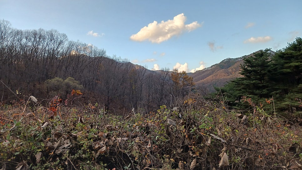 마두산 사진 3