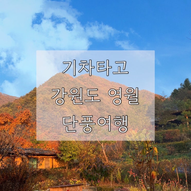  강원도 영월 단풍 기차여행 뚜벅이추천 경비아끼는 꿀팁 관광택시 서부시장 먹거리 정보