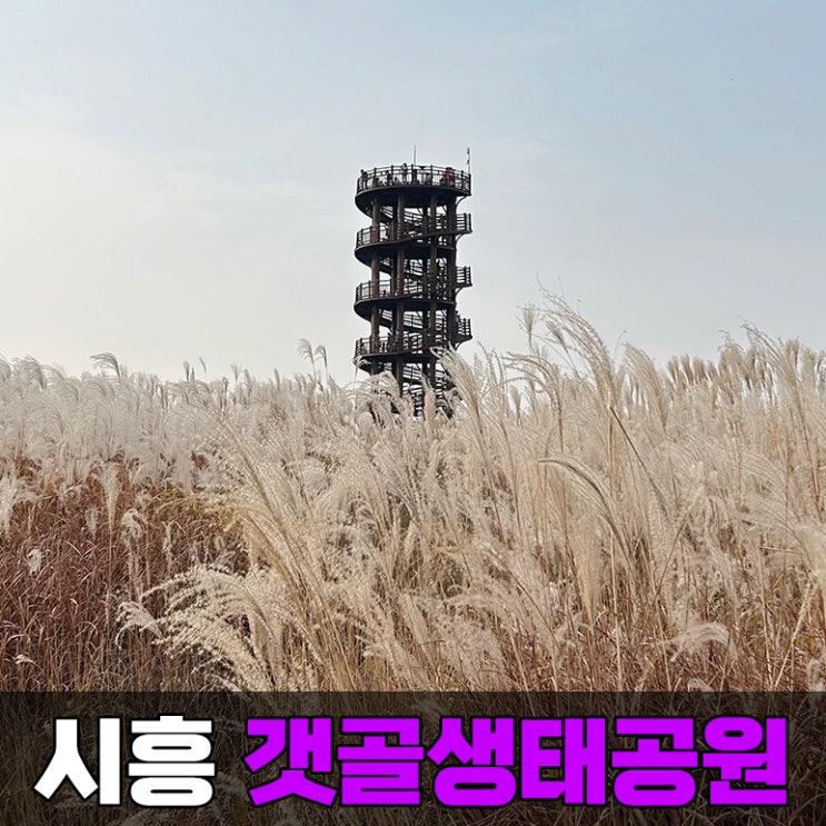 경기도 시흥 가볼 만한 곳 갯골생태공원 나들이 주차 정보