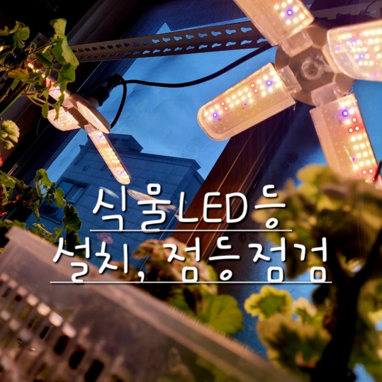  식물 LED등 설치 점등점검