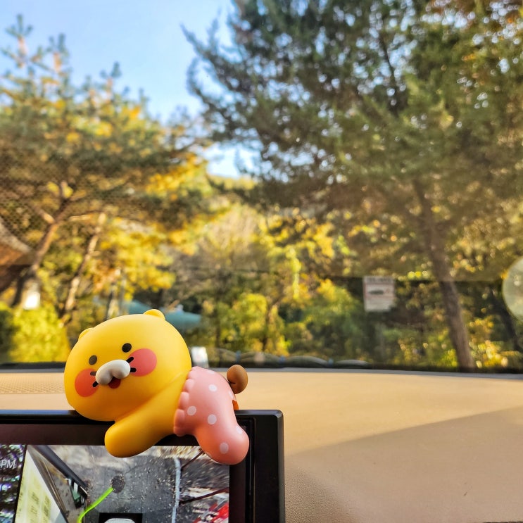  안산 수암봉, 경기도 단풍구경 가볼만한 곳, 초보자 등산 여행 추천