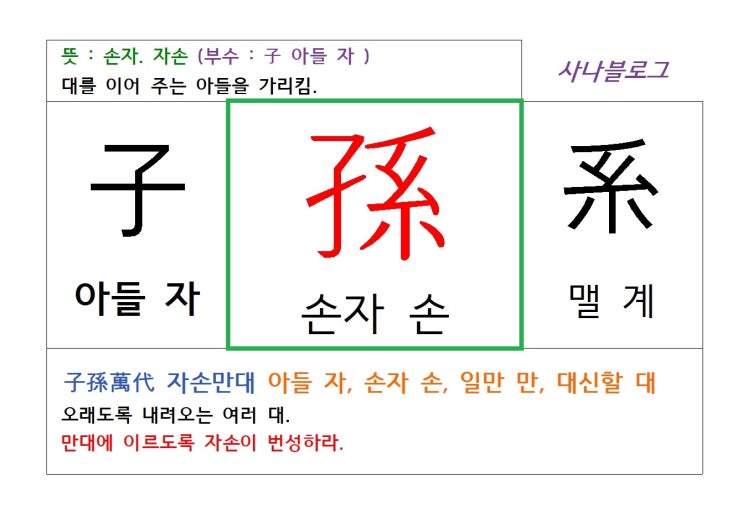  손자 손