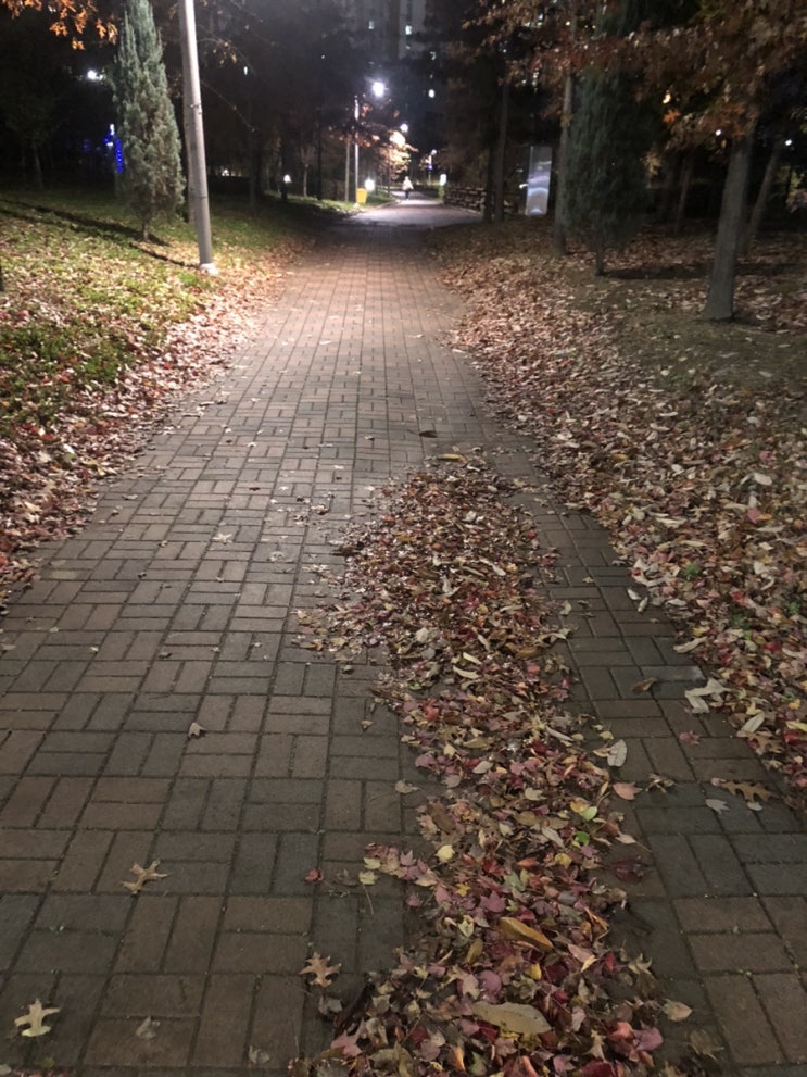  만추(晩秋)