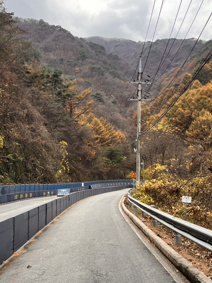  횡성 루지의 모든 것, 몇 살 부터 탑승 가능할까?
