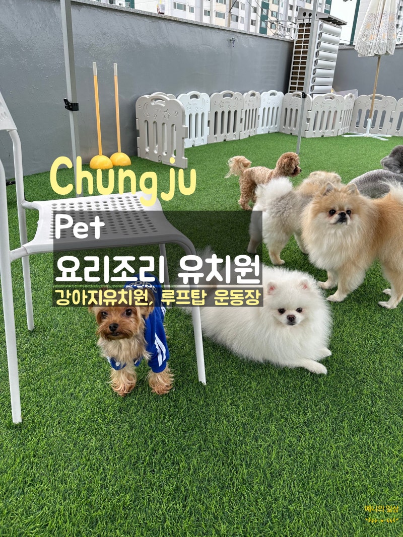 사진 2