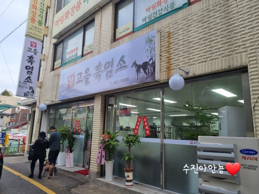 참고을흑염소 사진 1