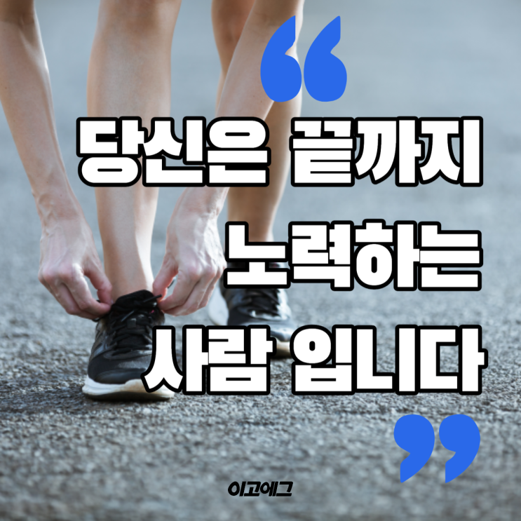  이고에그 EGOEGG | 당신은 끝까지 노력할 수 있습니다