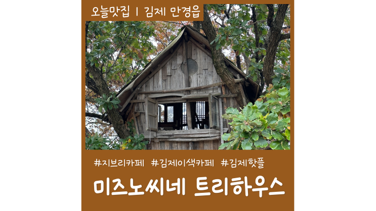 김제 이색카페 지브리감성 미즈노씨네 트리하우스 김제 이색카페 지브리감성 미즈노씨네 트리하우스