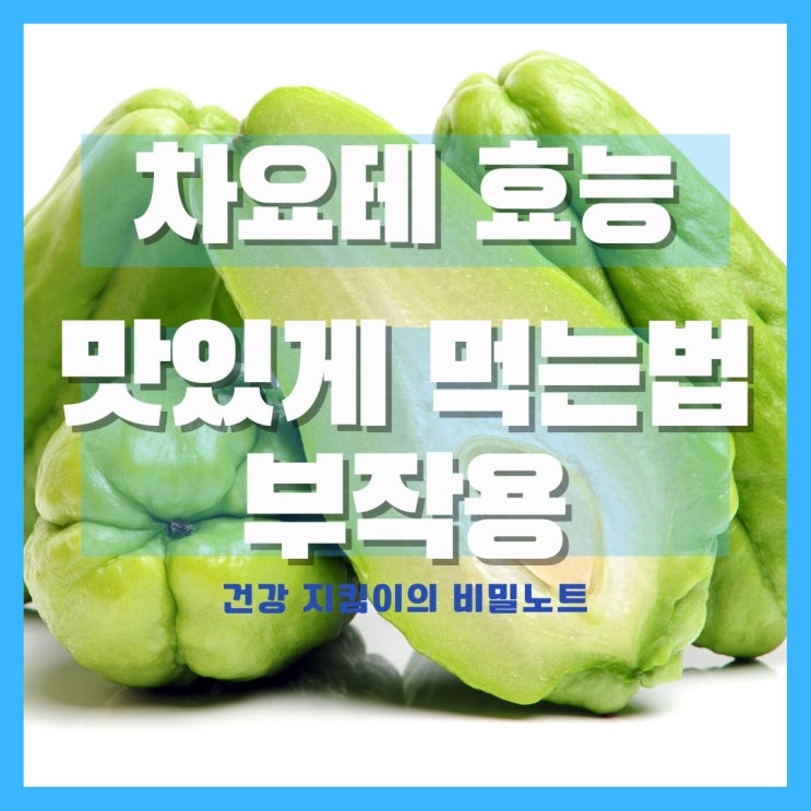  차요테 효능 먹는법 부작용
