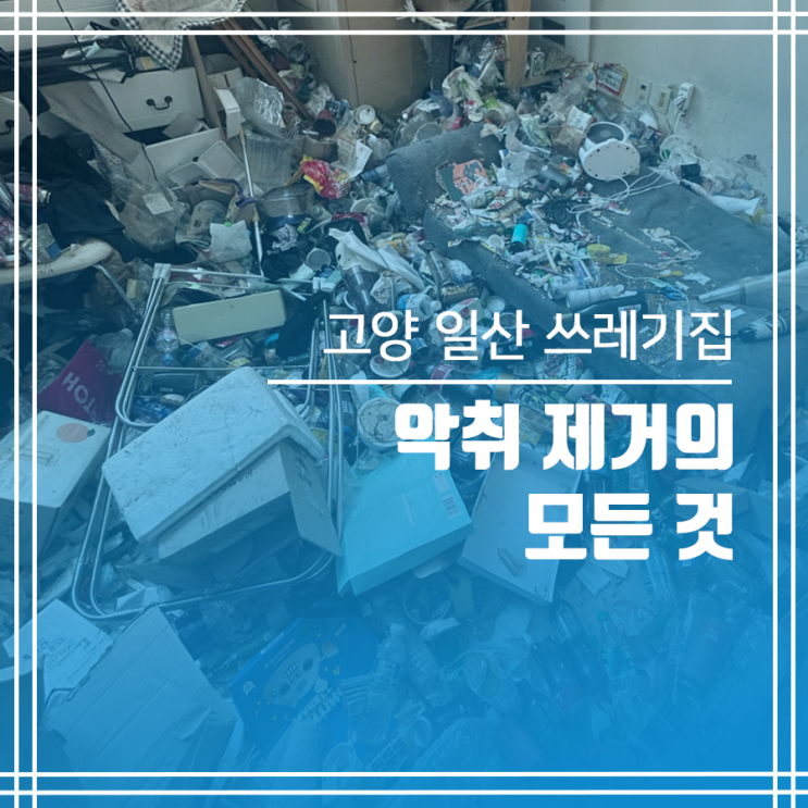  일산 쓰레기집청소 악취 제거의 모든 것