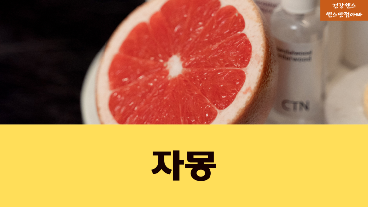  비타민C 노화예방 면역력 강화 변비 좋은 자몽 효능 부작용