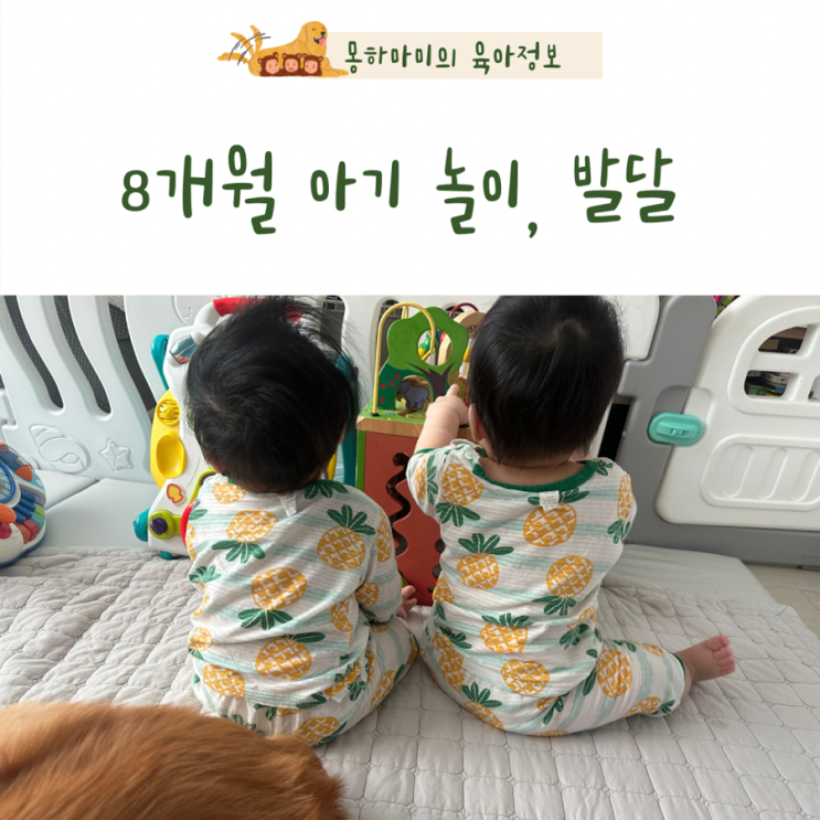  8개월아기 놀이 발달 선별검사 k-dst