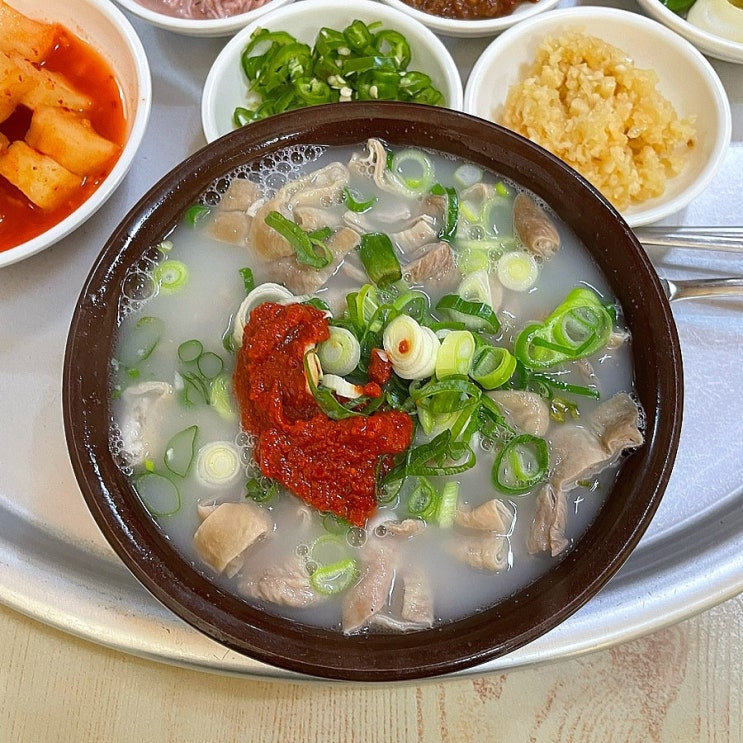  대구 서구 북부정류장 국밥맛집 곱창국밥 # 서울식당