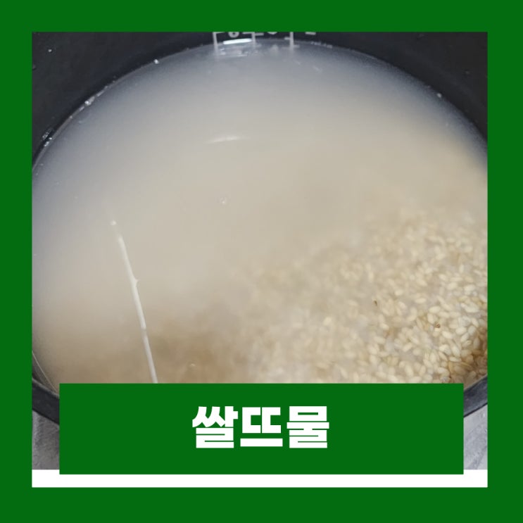  쌀뜨물 만드는법 요리 화분 세안 설거지 그릇냄새제거 효과
