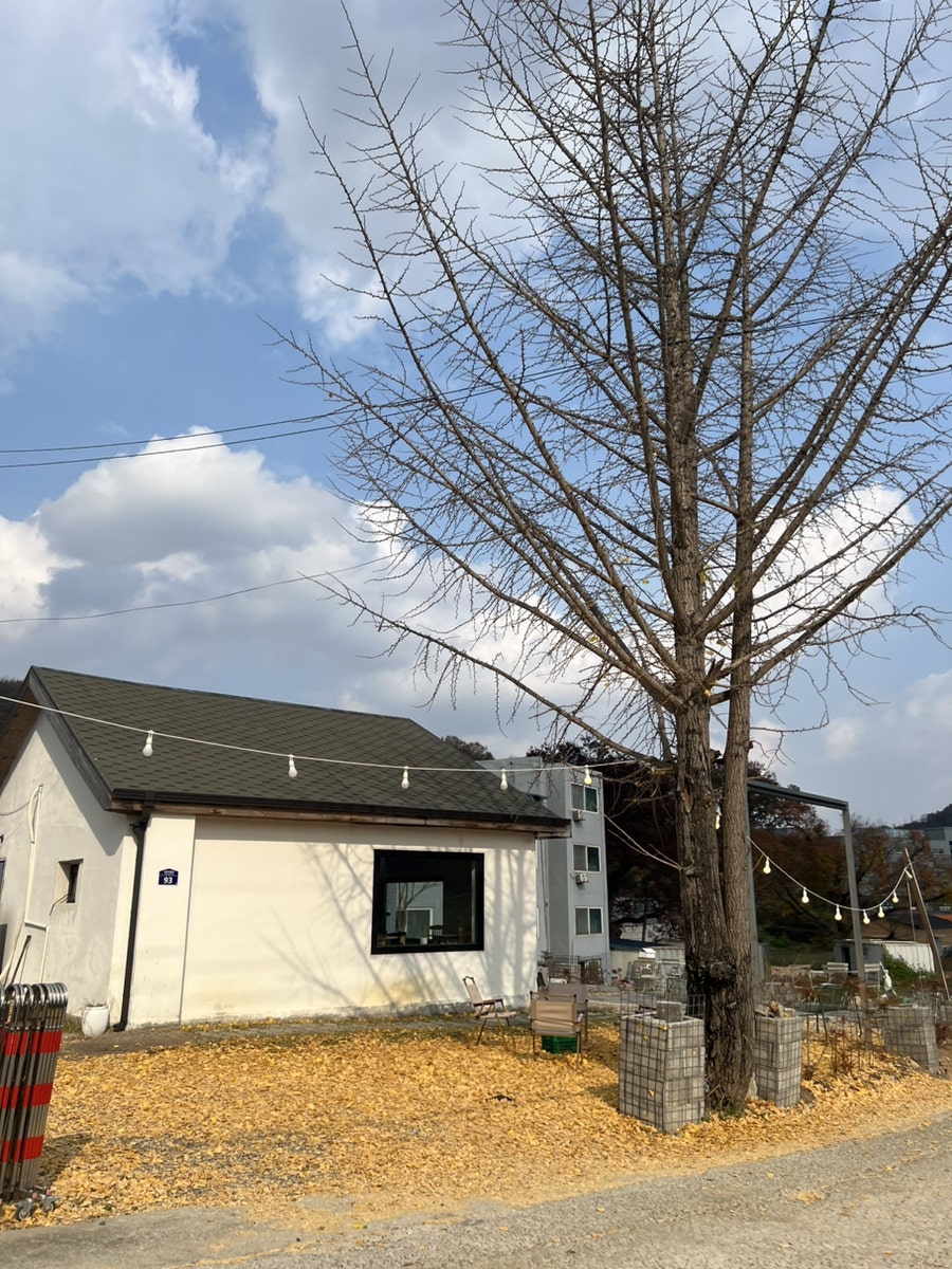 연와서고 사진 4