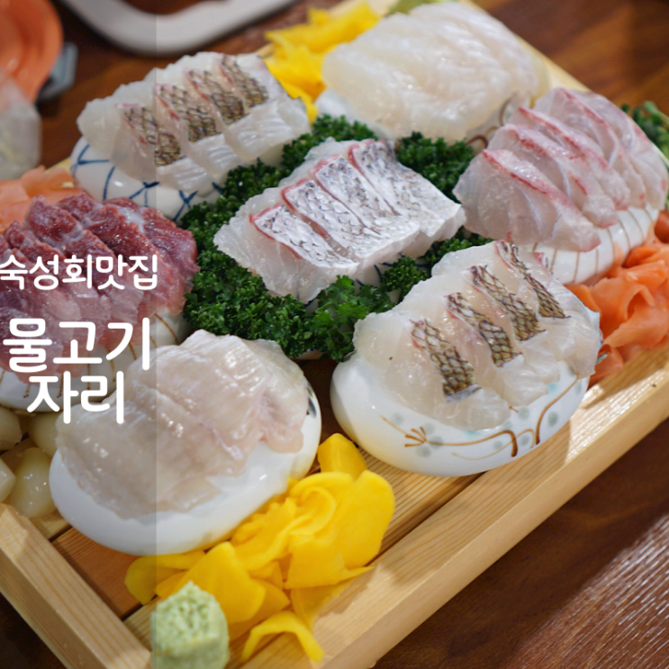  동탄 호수공원 맛집 물고기자리 숙성회 민어회 도미회